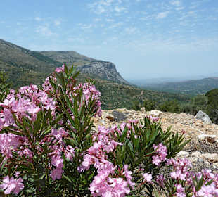 Ausblick Lassithi- Plateau