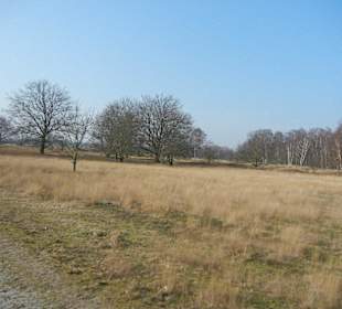 Wunderschöne Boberger Niederung
