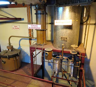 Rundgang durch das Museum La Saga du Rhum