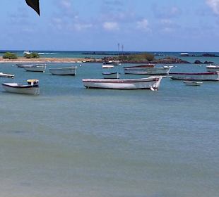 Fischerboote am Cap