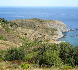 Blick auf das Cap l'Abeille 