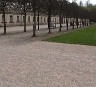 Orangerie Schloss Favorite