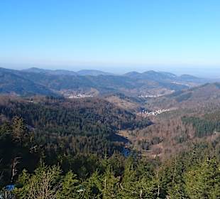 Wandern Winden im Elztal