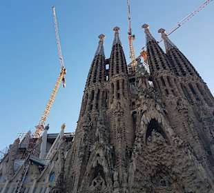 Katedra Sagrada Familia
