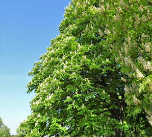 Eindrücke aus dem Prinz-Albrecht-Park