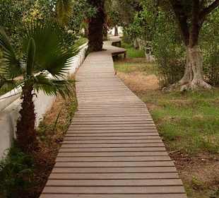 Wunderschönes grünes Gelende