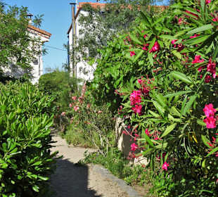 Der Charme der Strandhäuser von Le Racou