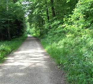 Breitenbachquelle