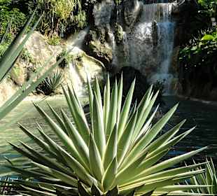 Wasserfall im Jardin Botanique de Deshaies