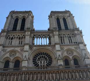 Katedra Notre Dame