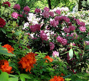 Spaziergang durch die Graftanlagen