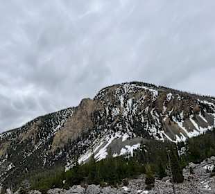 Yellowstone Nationalpark