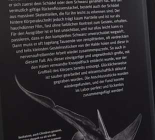 Dinosaurier Museum Altmühltal