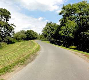 Radweg auf dem Wümmedeich durch das Blockland