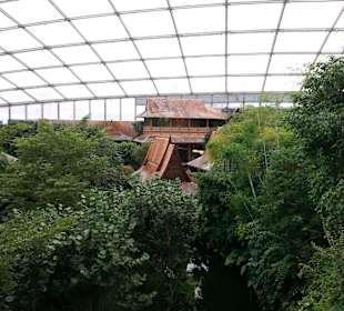 Tropenhaus Gondwanaland