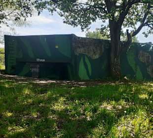 Spicherer Höhen in Spicheren