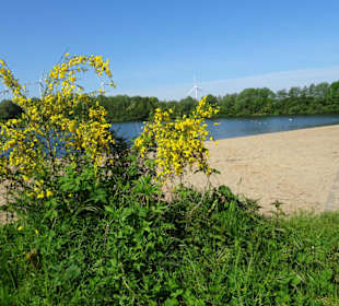 Der Strandbereich des Mahndorfer Sees