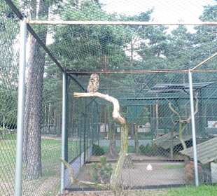 Freizeitpark Wendisch Rietz