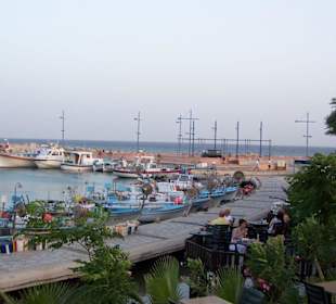Hafen von Aiya Napa
