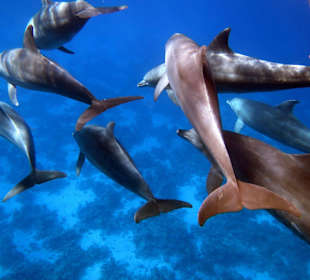 Bilder vom 13.10.16 von mir geschossen