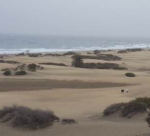 Dünen von Maspalomas