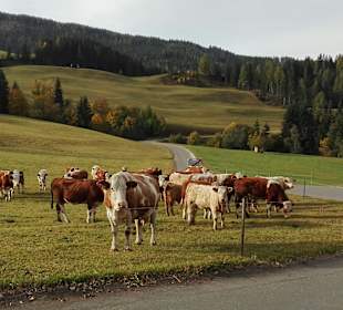 Wandern St. Lambrecht