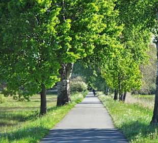 Auf dem Jan-Reiners-Weg durch das Hollerland