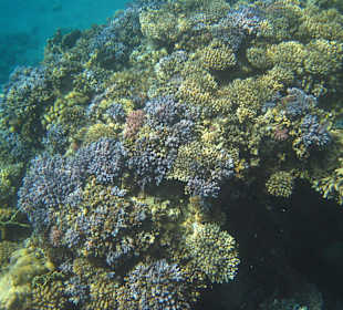 Nordriff- einfach wunderbar