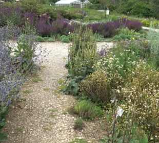 ALB-GOLD Naturgarten