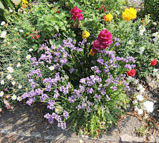 Sanssouci Schloss-/Schlossgartenimpression