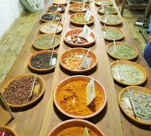Rundgang durch das Spicy's Gewürzmuseum