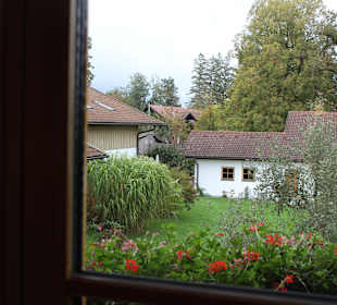 Ausblick