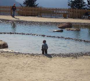 Ausflug Triassic Steinplatte