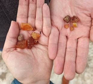 Strand Kolberg/Kolobrzeg