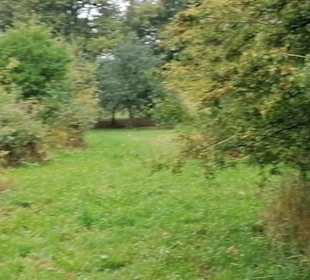 Schaugarten Eninger Weide