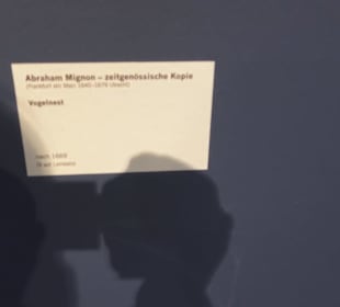 Museum für Vor- und Frühgeschichte