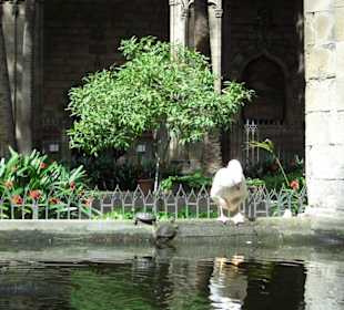 Die katholische Gans