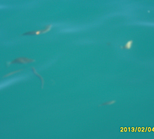 SUNRISE Grand Select Crystal Bay Resort