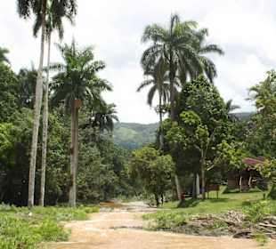 Geführte Touren Raimond Reise-Agentur Varadero