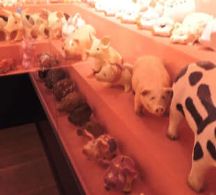 SchweineMuseum