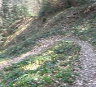 Grafenberger Brünnele