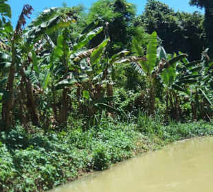 Auf dem Fluß, Natur pur