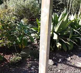 Botanischer Garten 