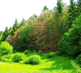 Wanderung zum Bärenfels