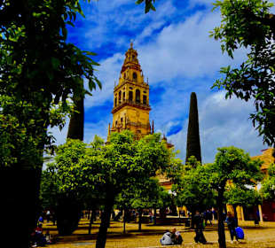 Patio de los Naranjos