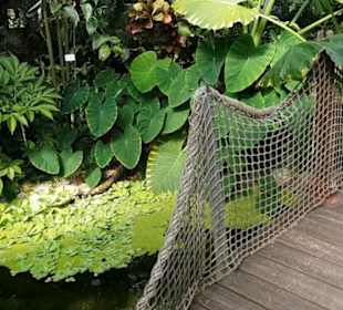 Botanischer Garten