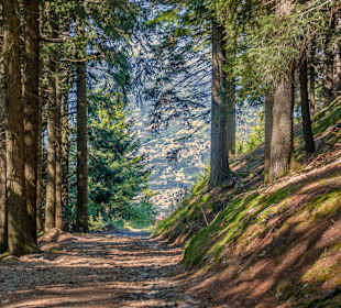 Wandergebiet Schennaberg