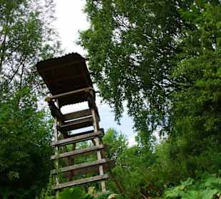 Hochsitz weiter unten