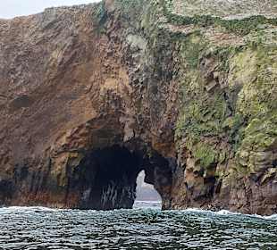 Ausflug Ballestas Inseln