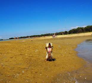 Bei den Buchten am Leuchtturm